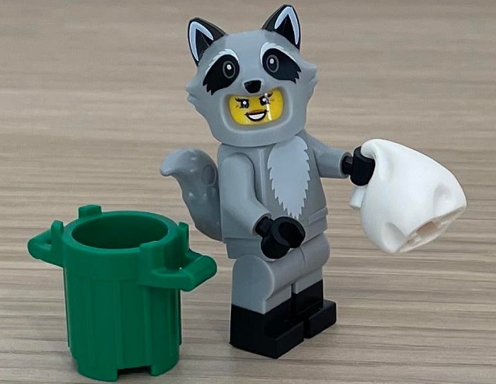 10 Raccoon Costume Fan Collectible Mini-Figures Series 22