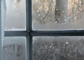 How to Handle Damp in Your Home This Winter