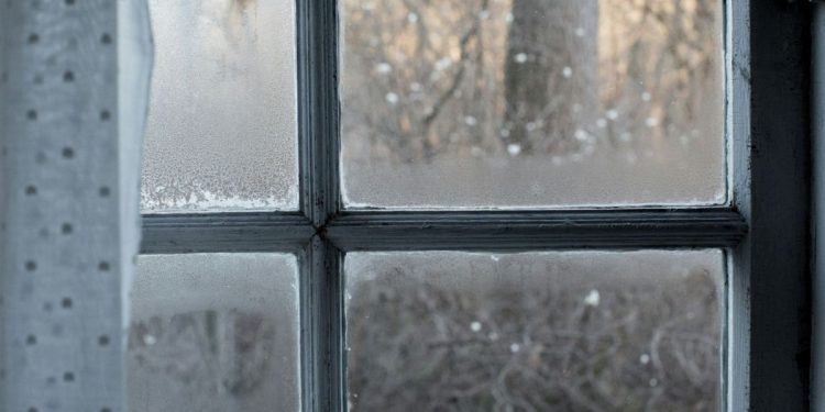 How to Handle Damp in Your Home This Winter