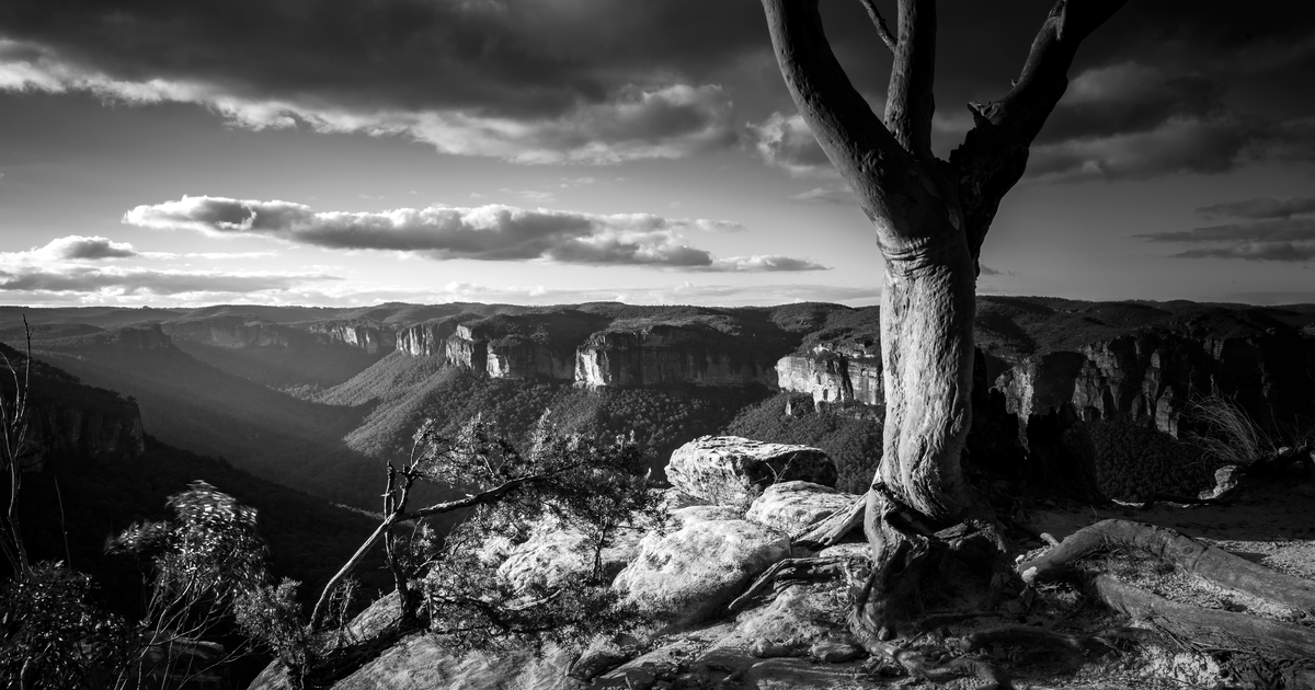 a picnic at hanging rock