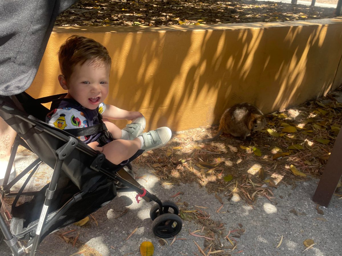 charlie with quokka at rottnest island