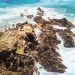 The iconic and famous Byron Bay lighthouse and rocky seascape on a hot autumn day in Byron Bay, New South Wales, Australia.