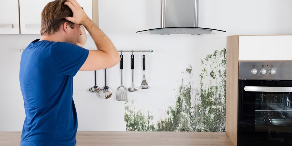 Young Man Shocked On Seeing Mold On Wall In Kitchen