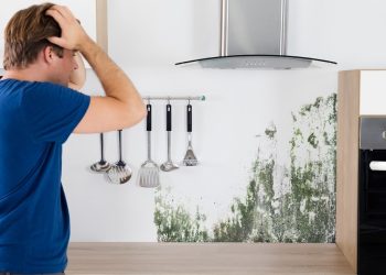 Young Man Shocked On Seeing Mold On Wall In Kitchen