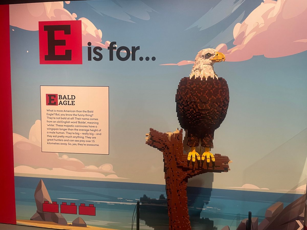 e is for eagle lego