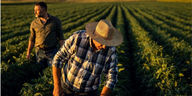 farming in Australia