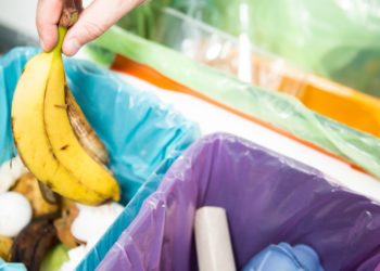 food scraps being put in bin
