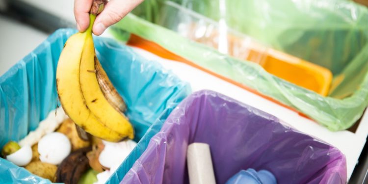 food scraps being put in bin