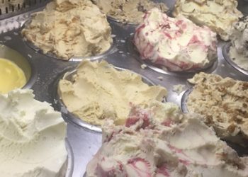 gelato-messina-ice-cream-display