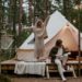 glamping example