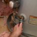 Hand attaches hose to a home water heater to perform maintenance
