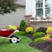 Wheelbarrow standing on a neat manicured green lawn alongside a flowerbed while planting a celosia flower garden around a house with fresh spring plants