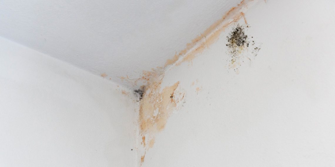 How to Get Rid of Mould in Bathrooms Permanently