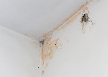 How to Get Rid of Mould in Bathrooms Permanently