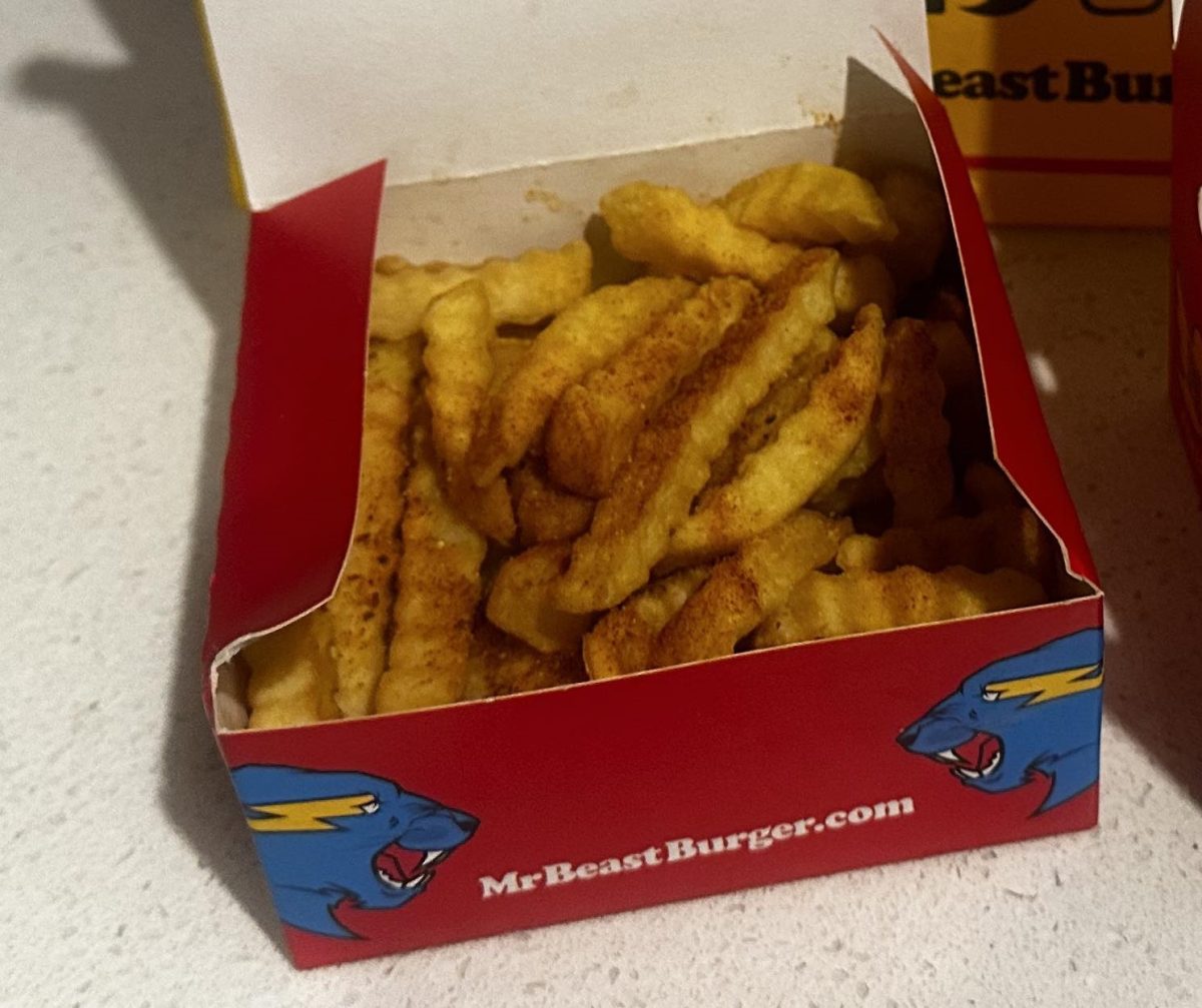 mrbeast burger signature crinkle fries review