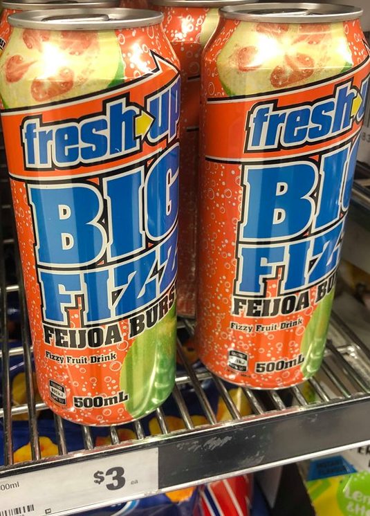 big fizz feijoa burst 500ml