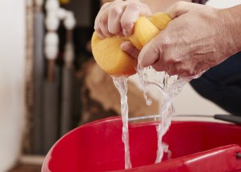Woman wringing water out of a sponge into a bucket, detail