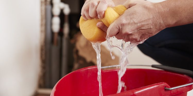 Woman wringing water out of a sponge into a bucket, detail