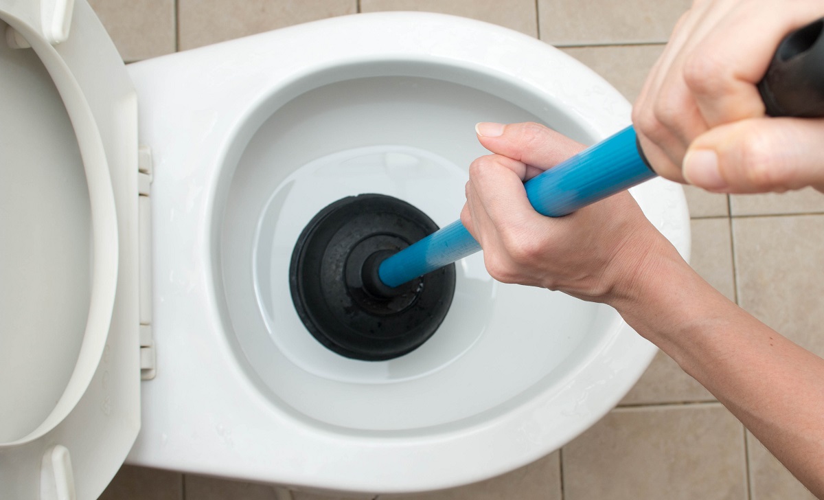 plunger in toilet