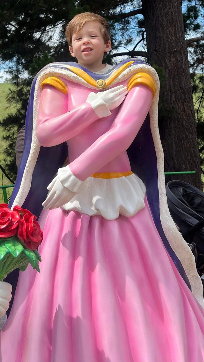 princess photo op fairy park