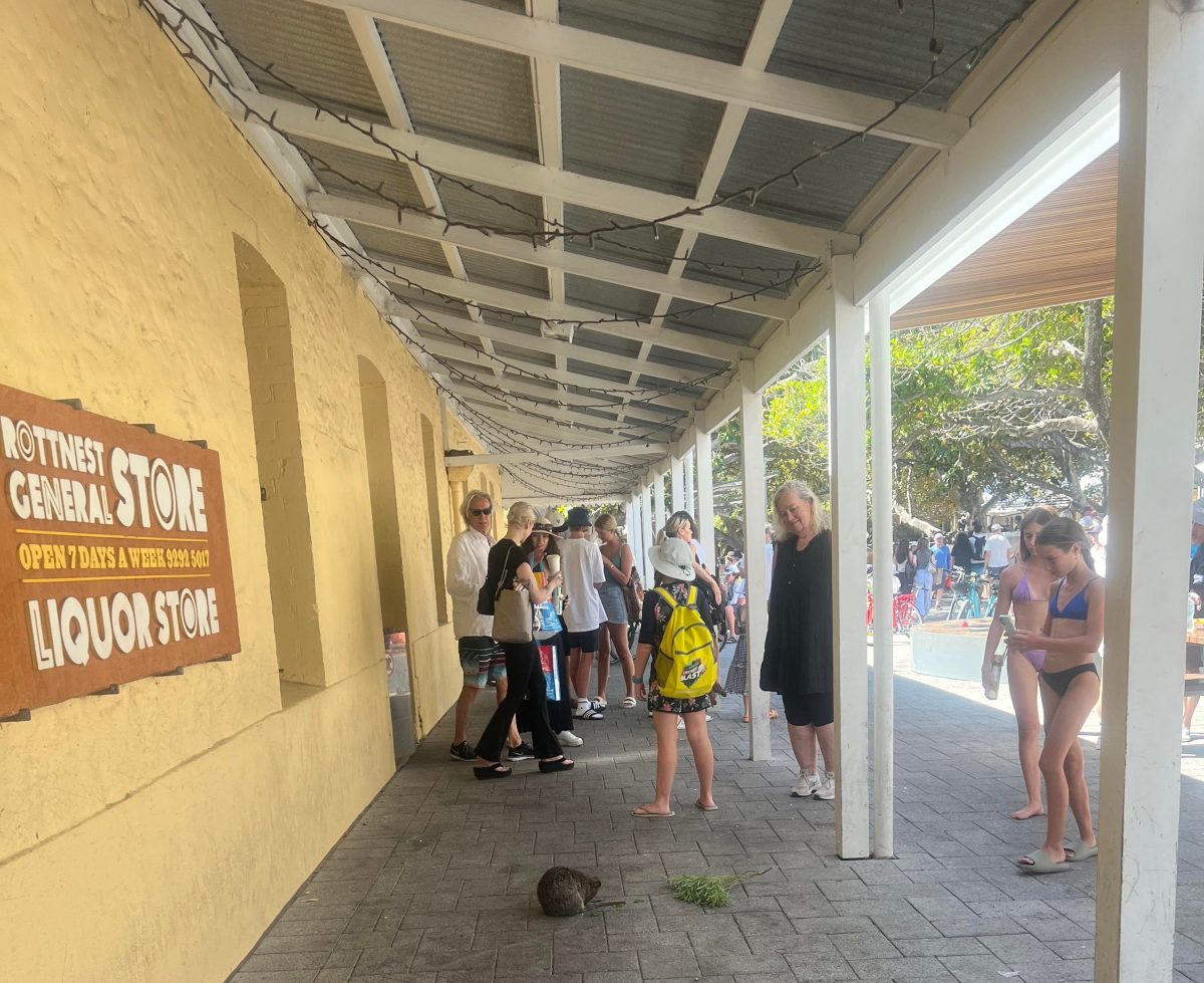 rottnest general store with quokka