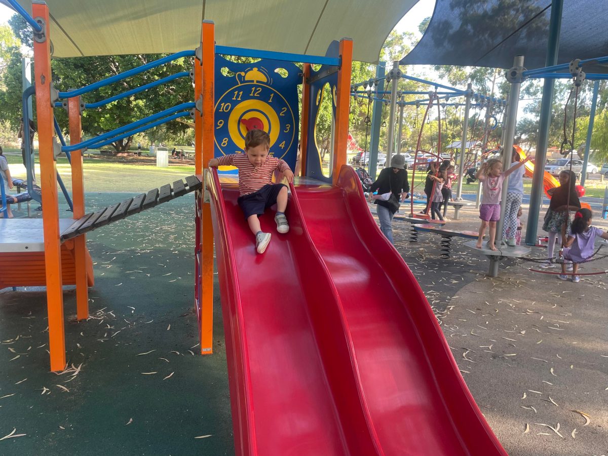 small boy on slide at tomato lake park