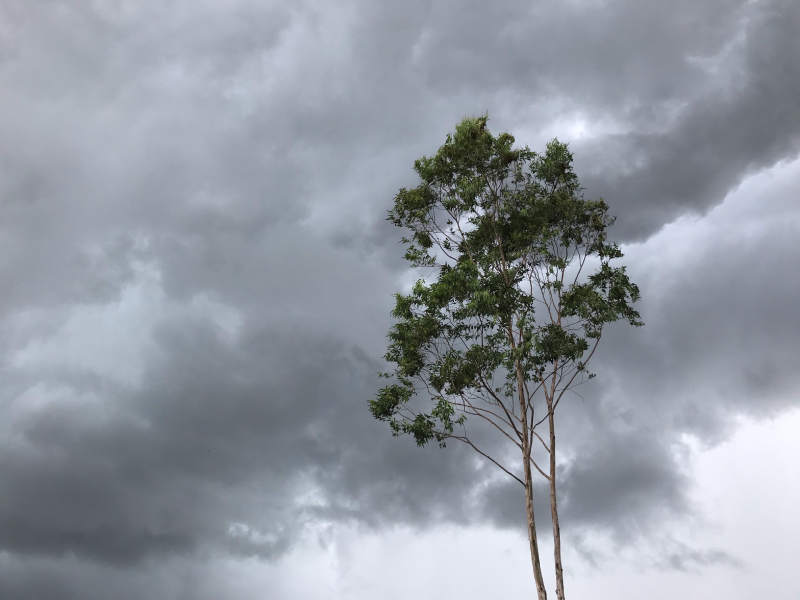 Storm, weather, and cloud