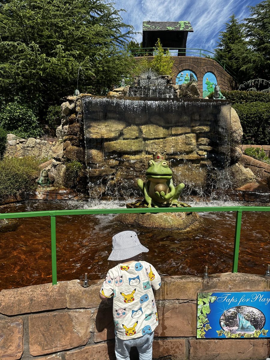 the frog prince anakie fairy park geelong
