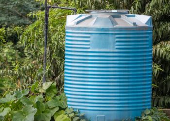 Blue Water Tank covered with trees and Plants.