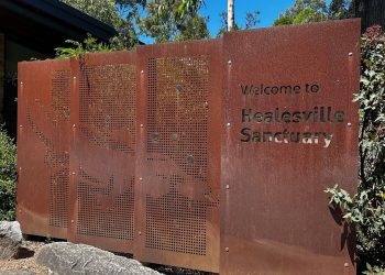 welcome to healesville sanctuary